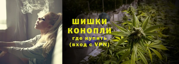хмурый Бронницы