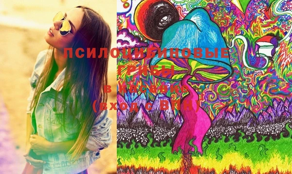 хмурый Бронницы